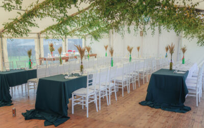 Wesele w namiocie – korzyści z organizacji imprezy w plenerze. Poradnik