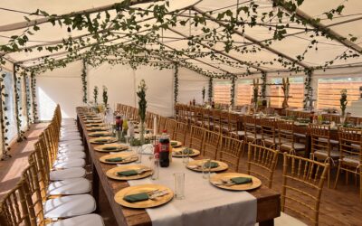 Jakie wyposażenie do namiotu jest naprawdę potrzebne? Kompletny poradnik organizatora